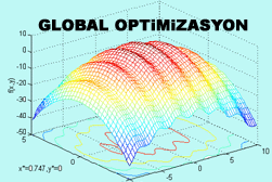 Global Optimizasyon Y?ntemleri